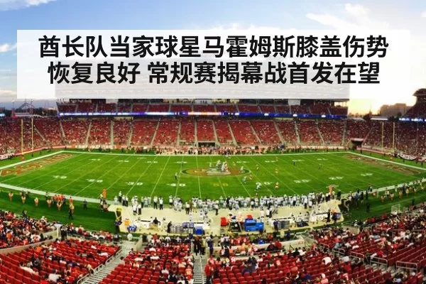 NFL football stadium action